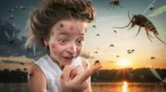 Primul ajutor în mușcătura unei insecte